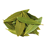 Bay Leaf