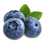 Blueberry