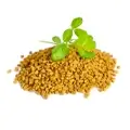 Fenugreek