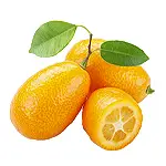 Kumquat