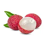 Litchi