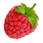 Raspberry