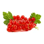 Red Berries