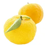 Yuzu