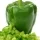 Green Pepper