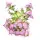 Sclarene