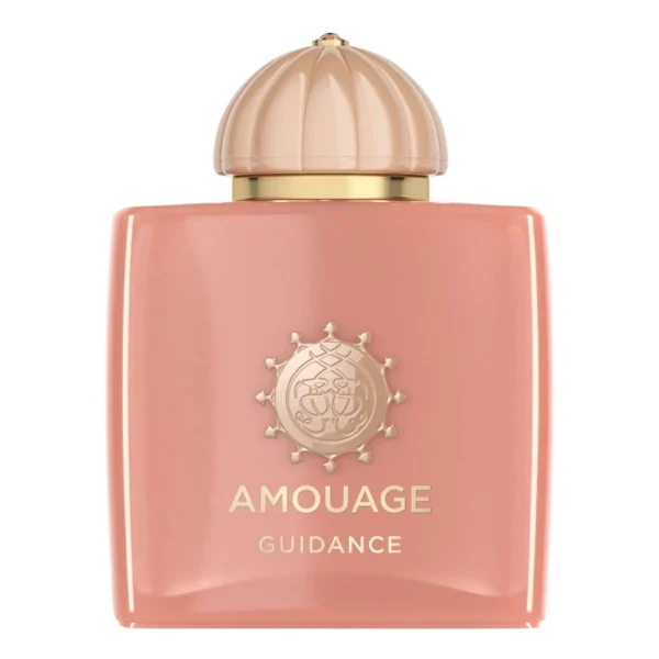 Amouage Guidance Edp 100Ml