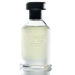 Bois 1920 Virtu Youth EDT 100 ML