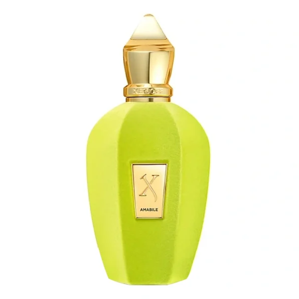 Xerjoff Amabile Edp 100Ml (Unboxed)