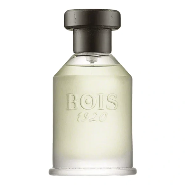 Bois 1920 Parana Edp 100Ml