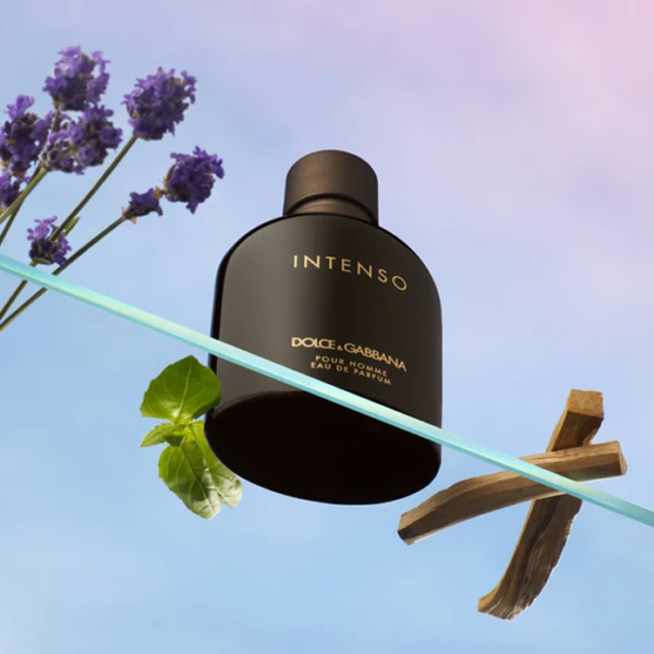 Pour Homme Intenso by D&G