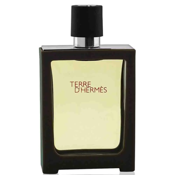 Hermès Terre d’Hermès